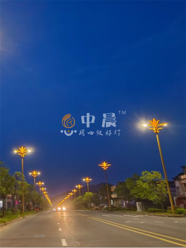 太阳能路灯安装案列图展示