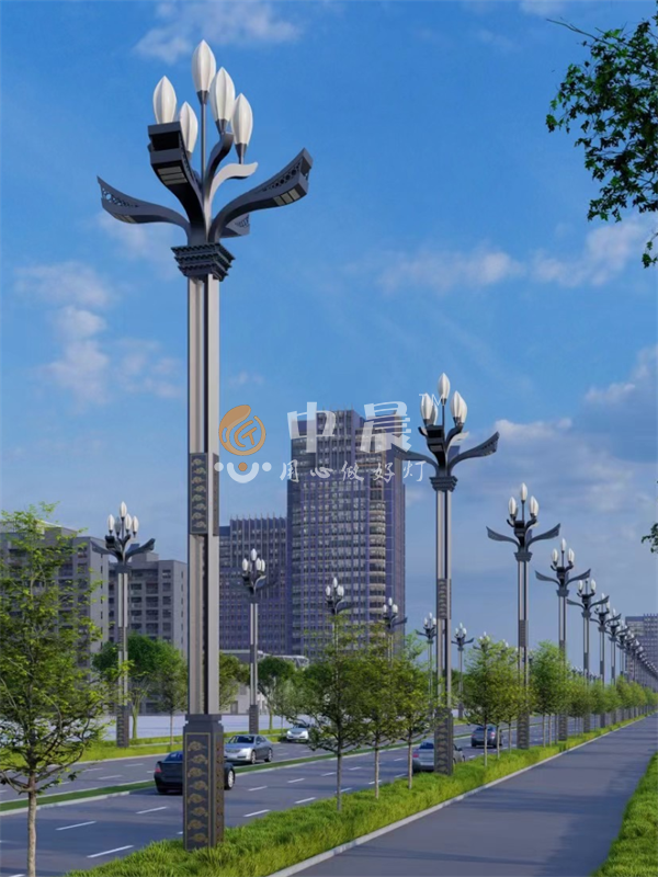 太阳能路灯安装案列图展示