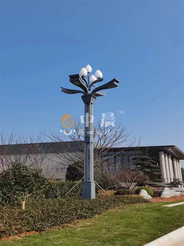 太阳能路灯安装案列图展示